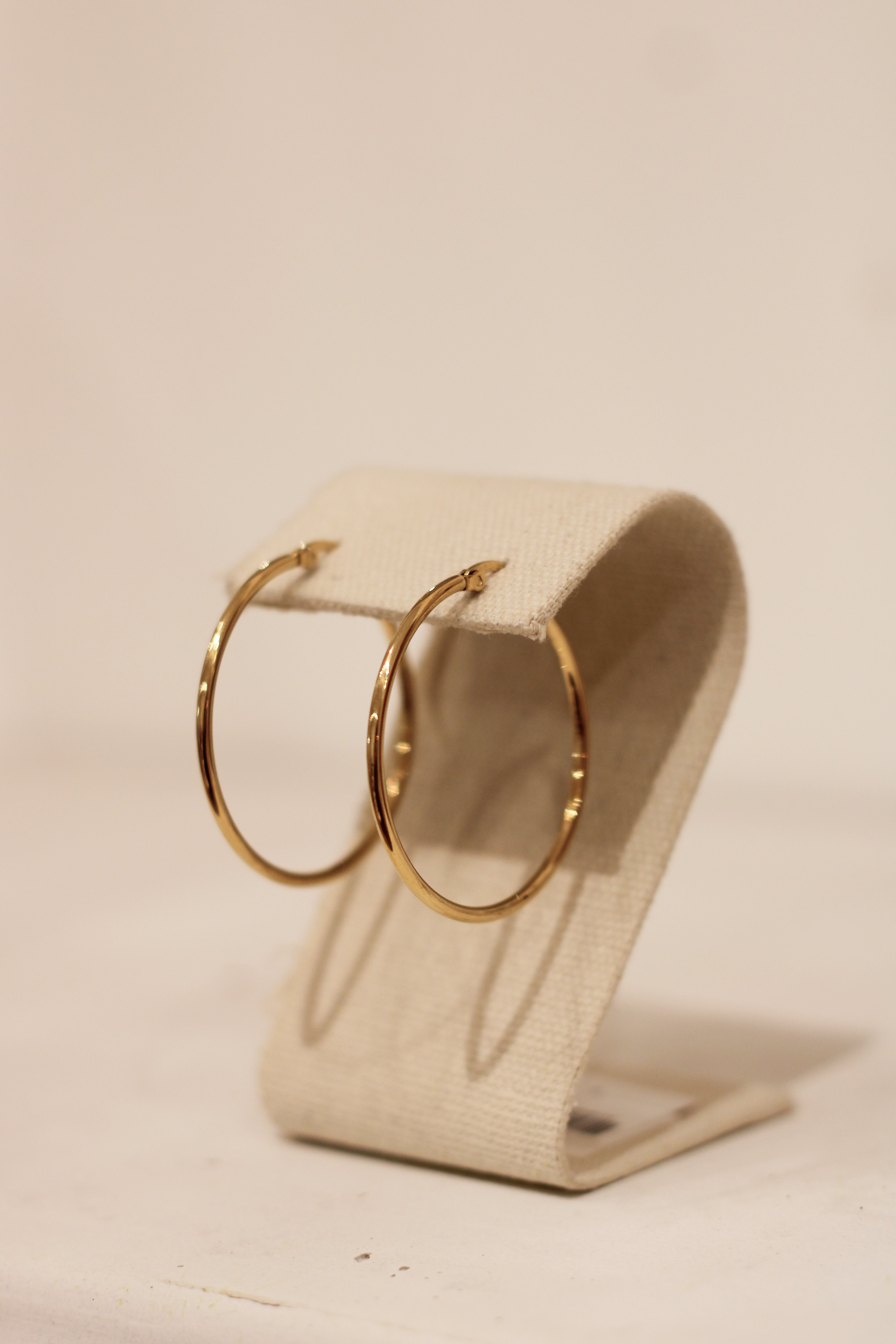 Bianca Hoop Earrings