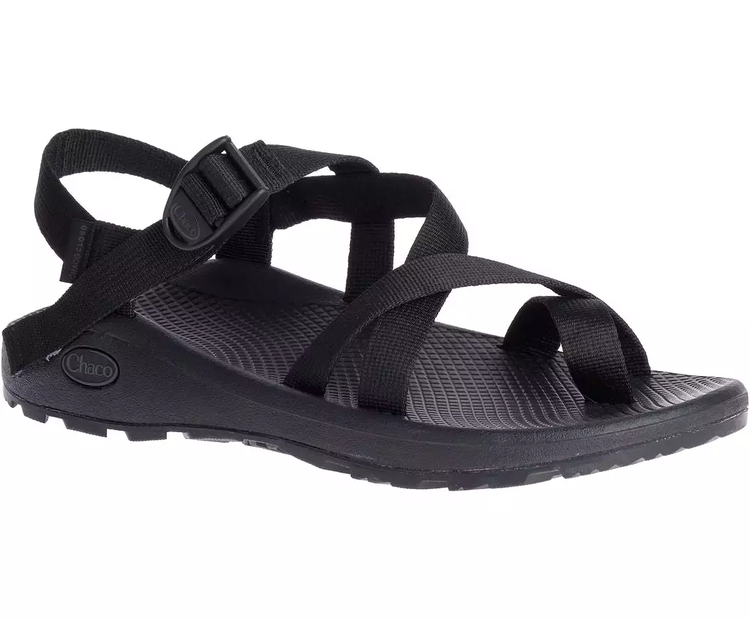 Chaco Men's Z/Cloud 2