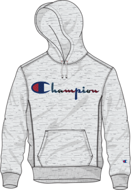 Champion Dot Stitch Script Reverse Weave PO Hood