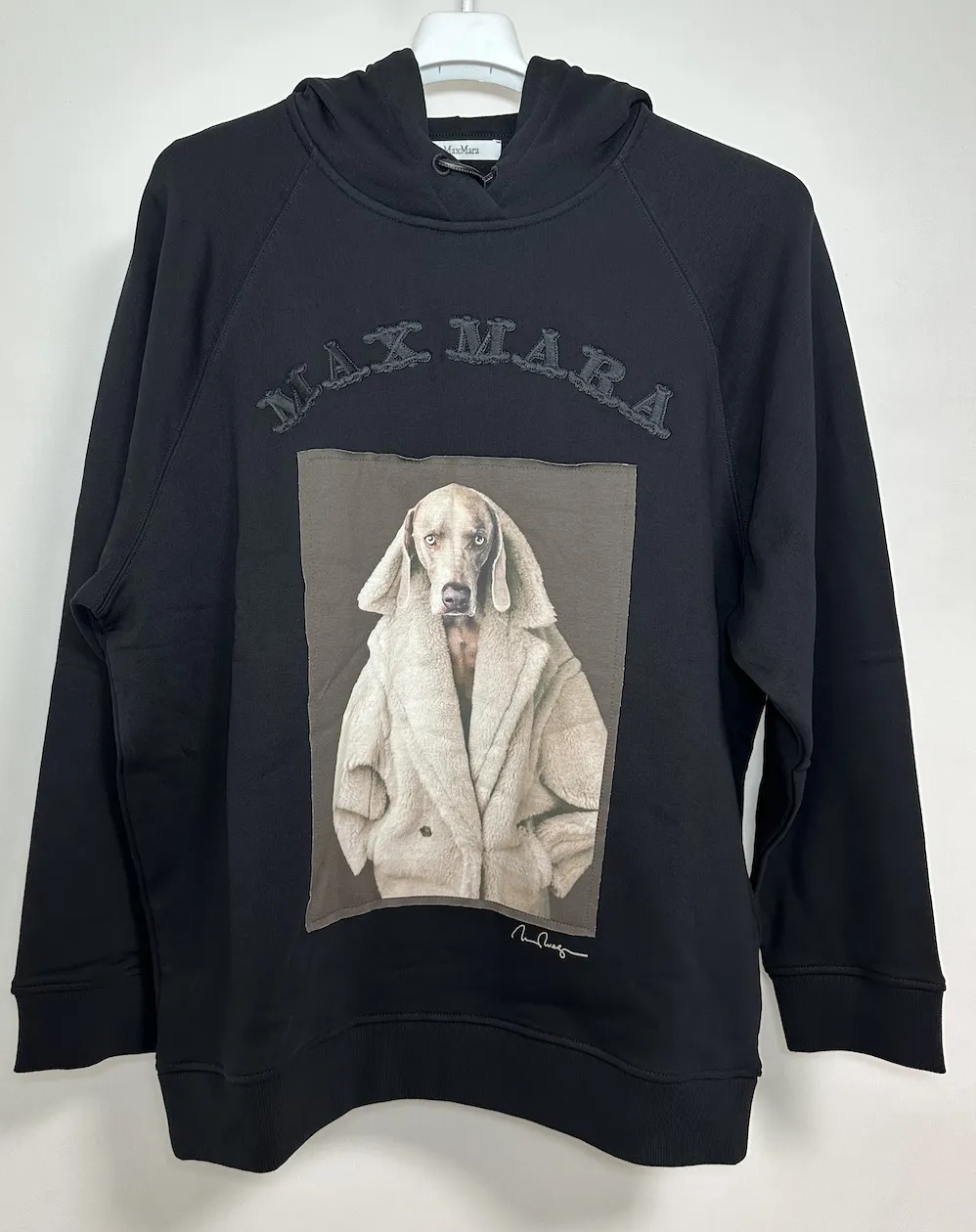 MaxMara  |Long Sleeves Hoodies & Sweatshirts