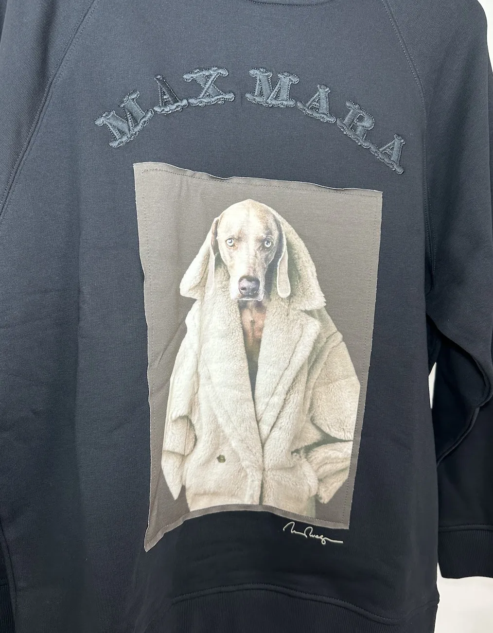 MaxMara  |Long Sleeves Hoodies & Sweatshirts